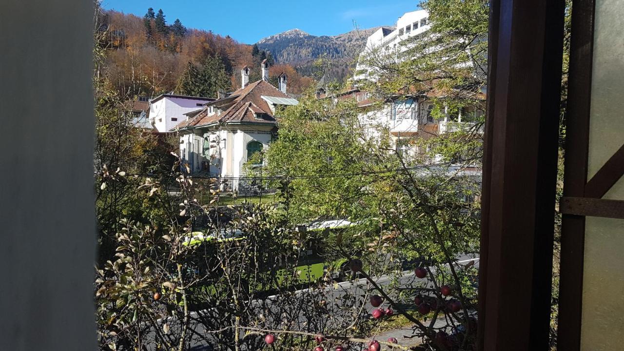 Hotel Pensiunea Casa Noastra Sinaia Zewnętrze zdjęcie